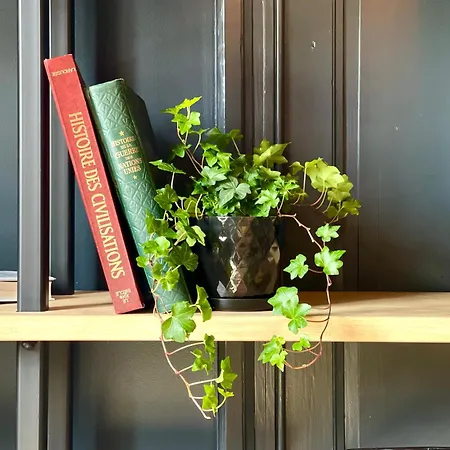 Feriehus La Parenthese - Peaceful And Family-friendly In